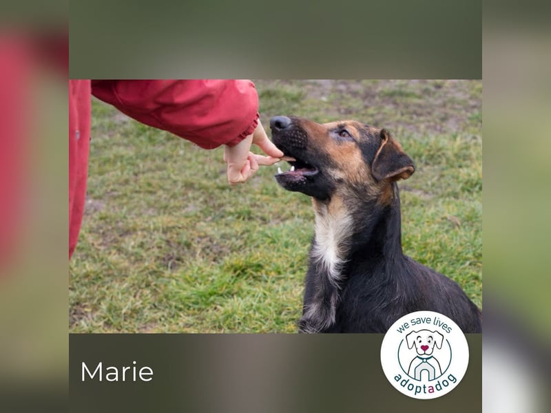 Marie: Die sanfte Seele