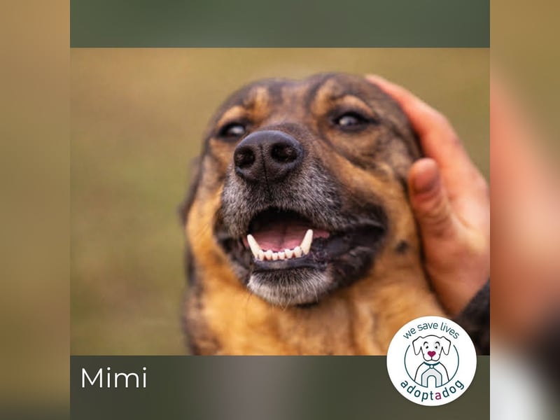 Mimi: Mit einem Lächeln ins Glück