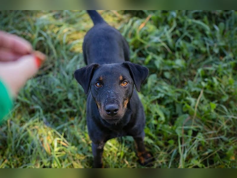 Holly: sucht DRINGEND ihre Endstelle zum Ankommen in 74906 Bad Rappenau