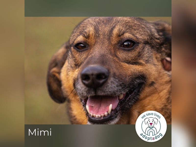 Mimi: Mit einem Lächeln ins Glück