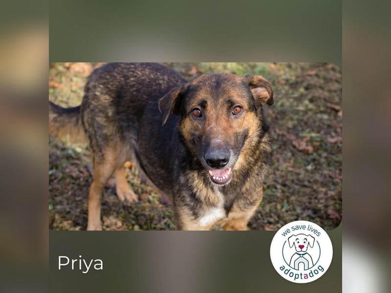 Priya: Schenke mir Liebe!