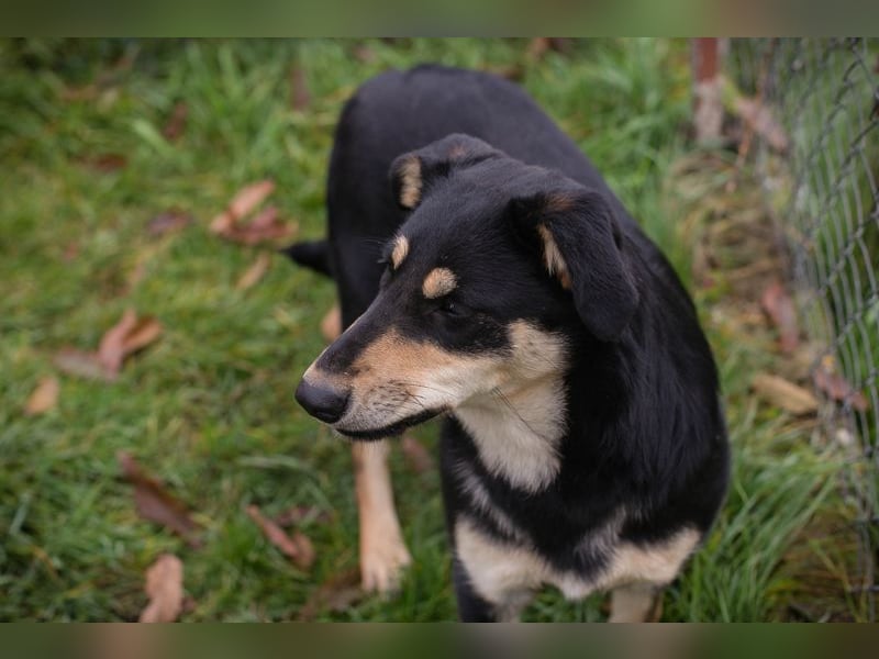 Jana: Sucht ein Zuhause