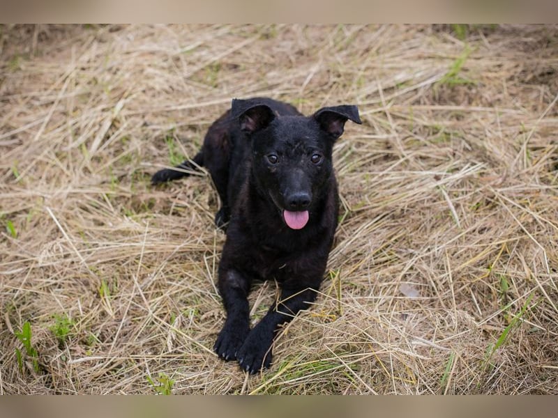 Sally: Sucht ein Zuhause