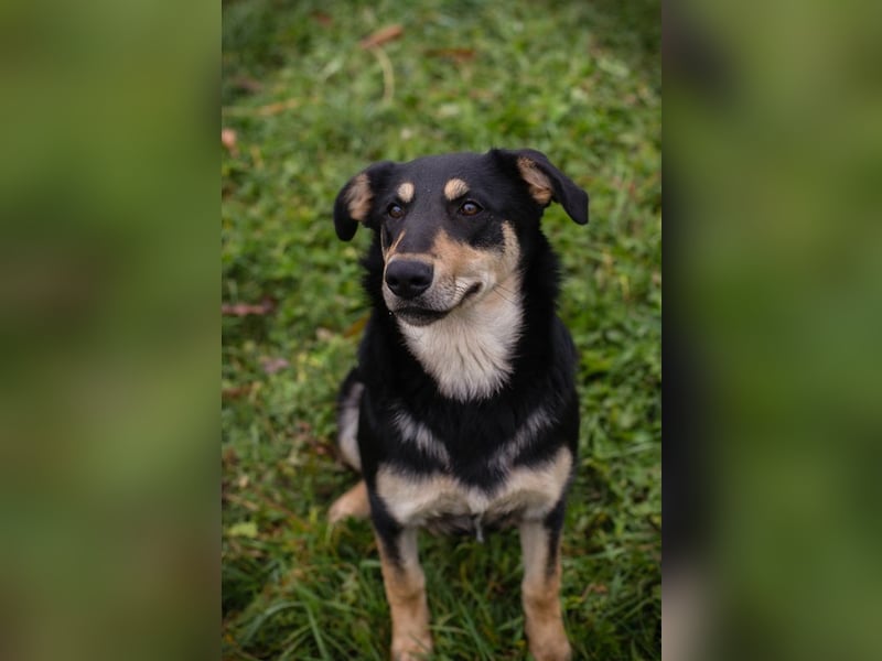 Jana: Sucht ein Zuhause