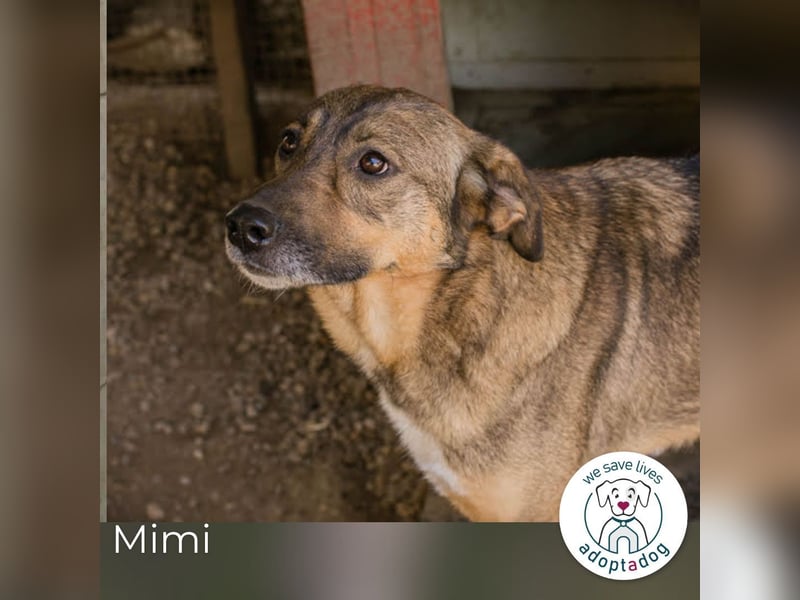 Mimi: Mit einem Lächeln ins Glück