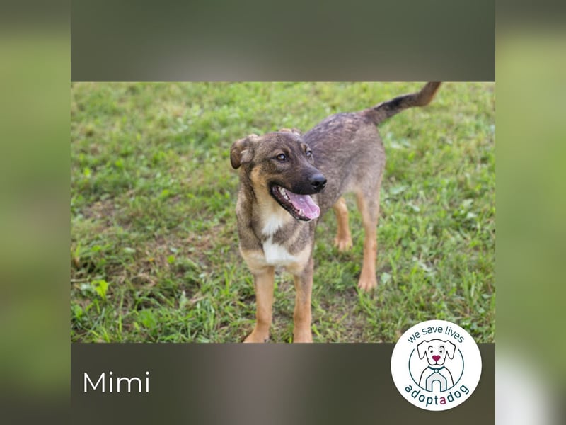 Mimi: Mit einem Lächeln ins Glück