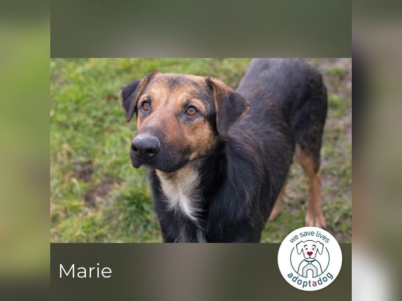 Marie: Die sanfte Seele