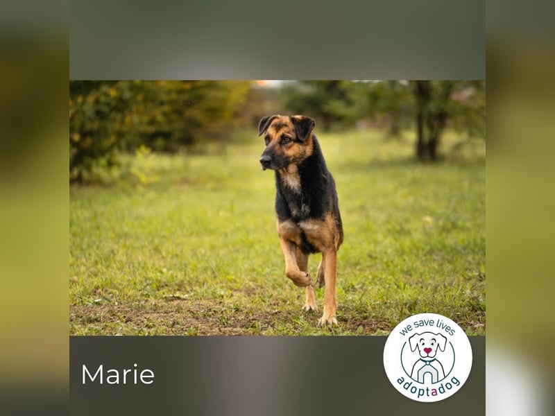 Marie: Die sanfte Seele