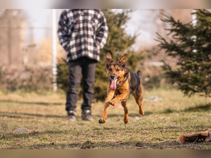 Stina – Königreich gesucht