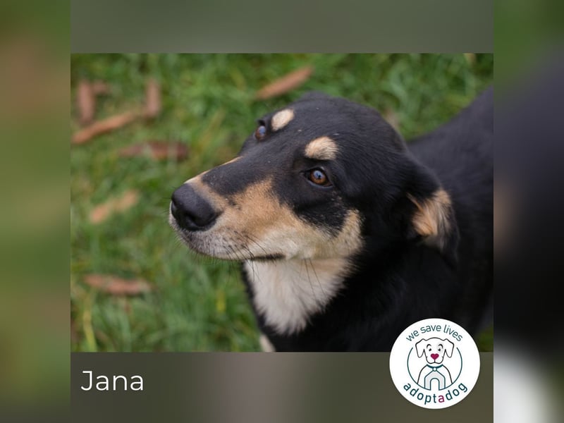 Jana: Sucht ein Zuhause