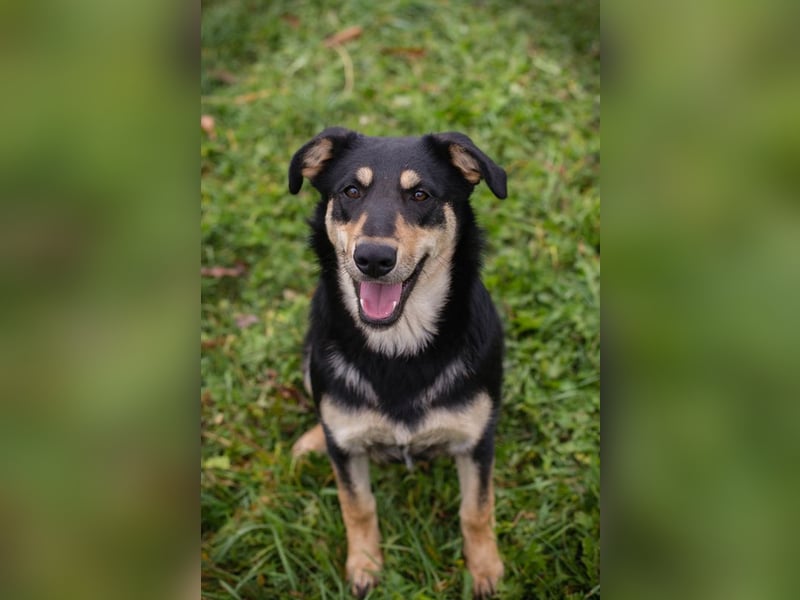 Jana: Sucht ein Zuhause