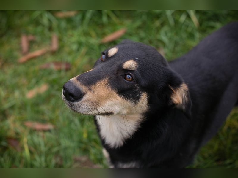 Jana: Sucht ein Zuhause