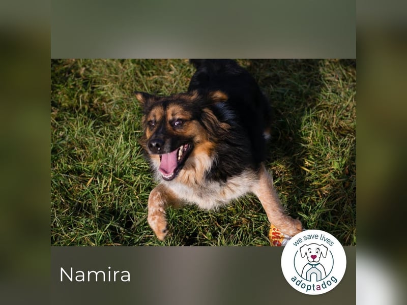 Namira: Fröhliche Seele sucht Heimat