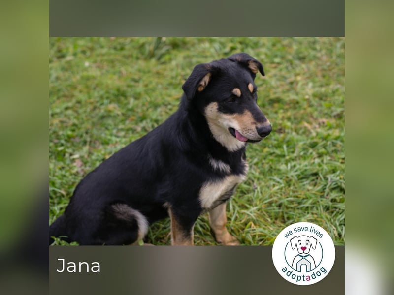 Jana: Sucht ein Zuhause