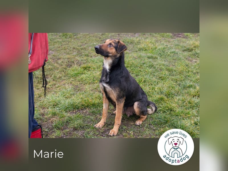 Marie: Die sanfte Seele