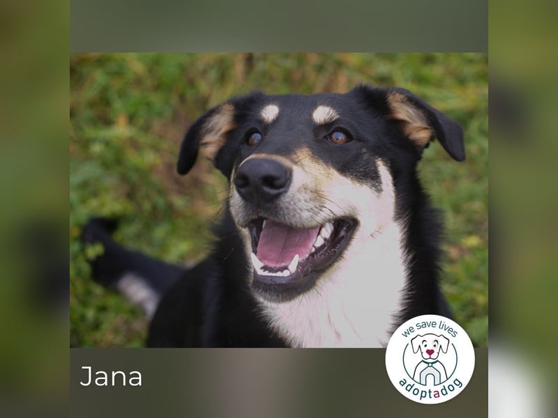 Jana: Sucht ein Zuhause