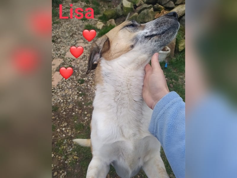 Lisa möchte Rumänien ganz schnell verlassen.......