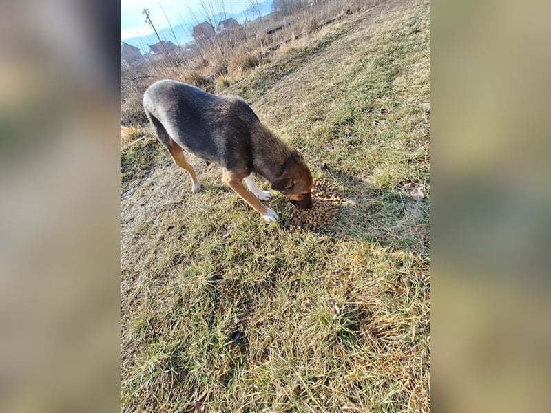 2-jährige Cora lebt in Rumänien