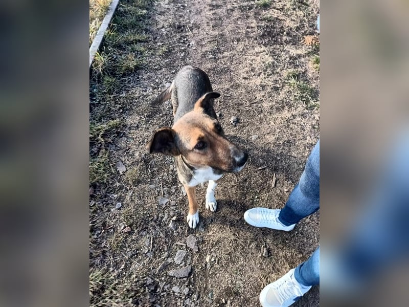 2-jährige Cora lebt in Rumänien