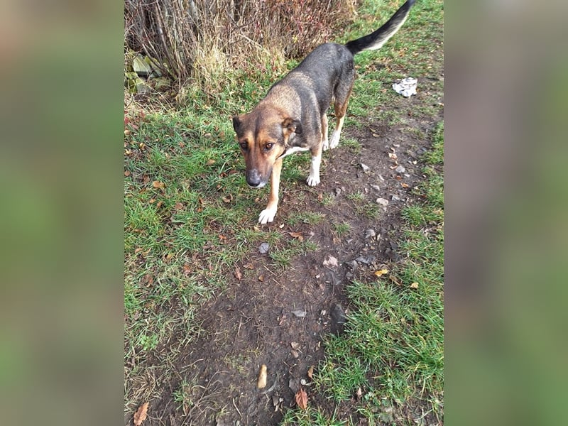 2-jährige Cora lebt in Rumänien