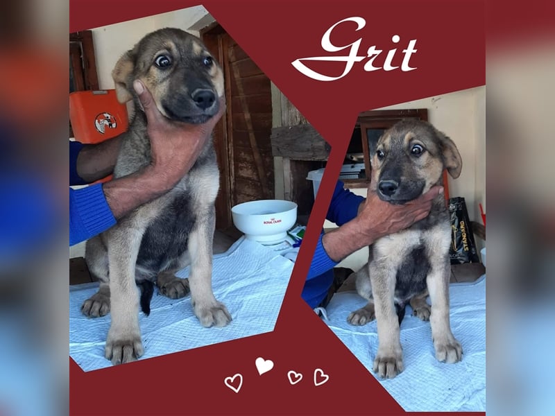 Huhu! Hier kommt die süße Grit!