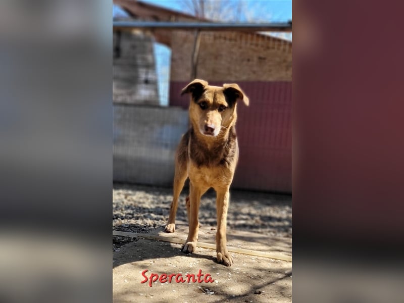 SPERANTA