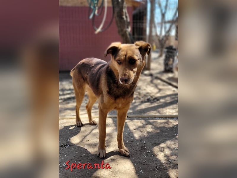 SPERANTA