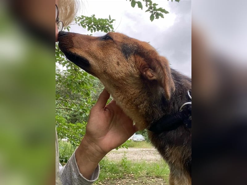 MARLA - sucht ihren Platz für's Leben