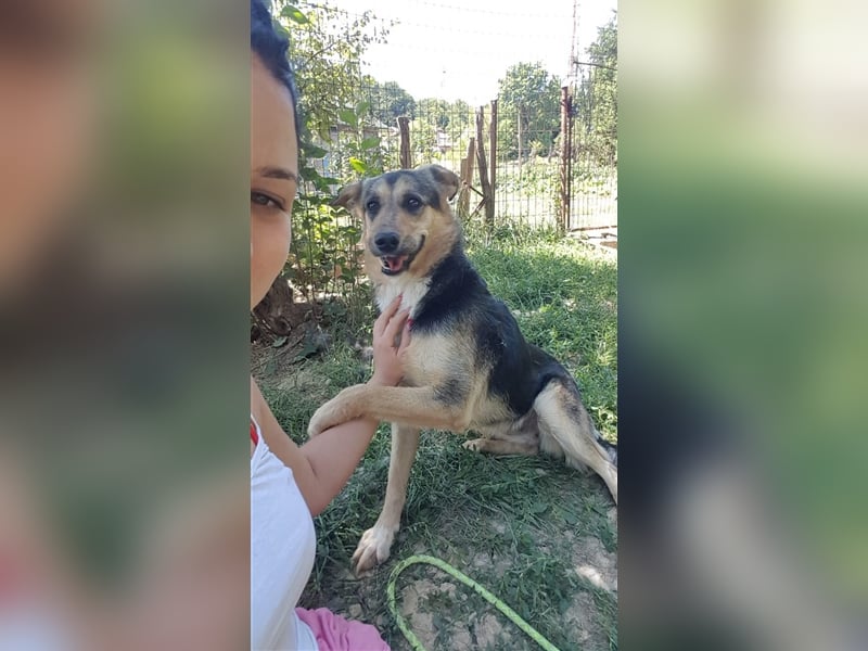 MIMI ❤ EILIG! sucht Zuhause oder Pflegestelle