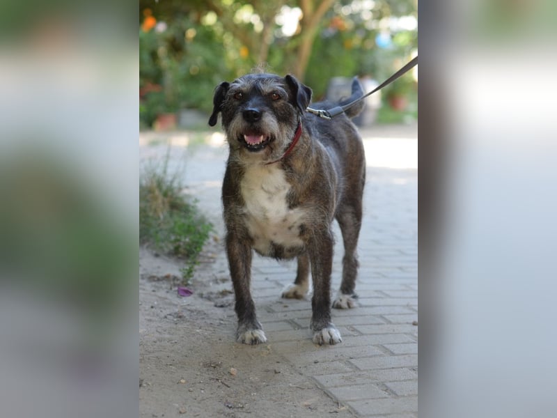 Miss Sophie - freundliche, liebenswerte, bezaubernde Seniorin