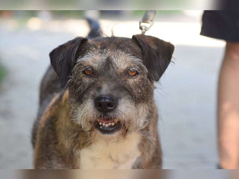 Miss Sophie - freundliche, liebenswerte, bezaubernde Seniorin