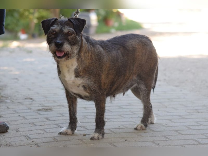 Miss Sophie - freundliche, liebenswerte, bezaubernde Seniorin