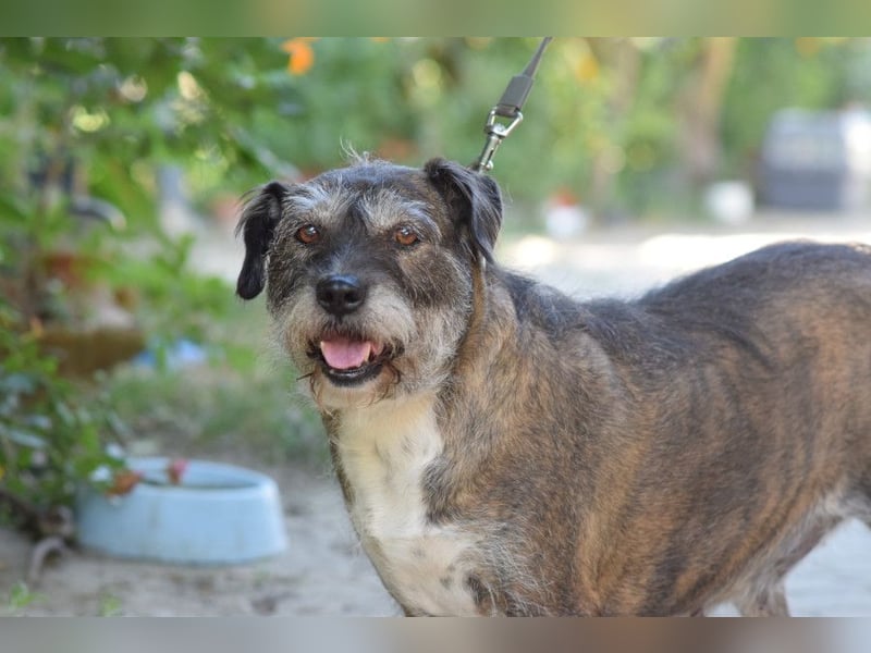 Miss Sophie - freundliche, liebenswerte, bezaubernde Seniorin