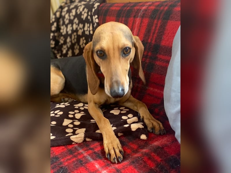 Couch gesucht für CONNIE