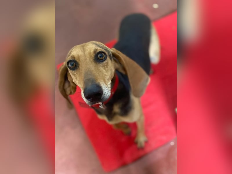 Couch gesucht für CONNIE