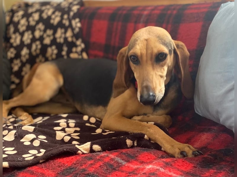 Couch gesucht für CONNIE