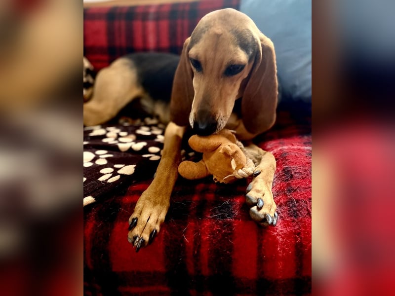 Couch gesucht für CONNIE
