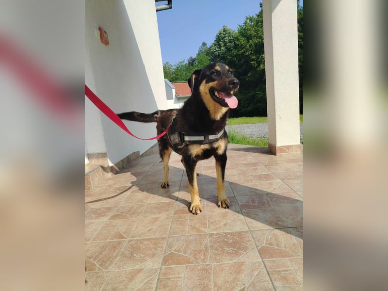 zauberhafte Dora sucht ihre Menschen