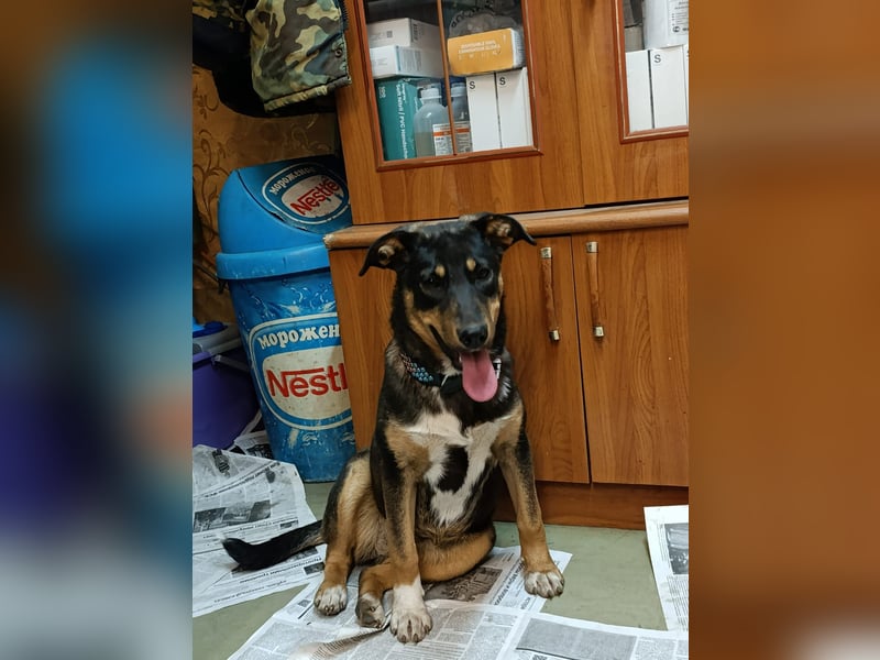 Lila