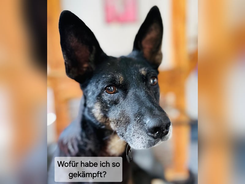 Negrutza möchte in Würde alt werden