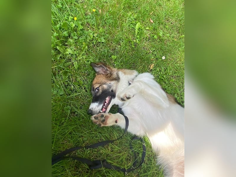 Leia wartet in Herne