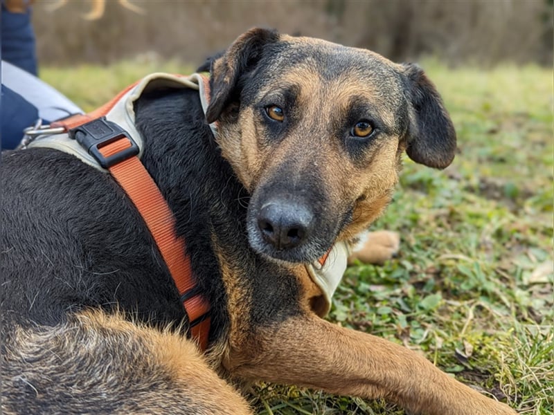 Nicole - auf der Suche nach der zweiten Chance