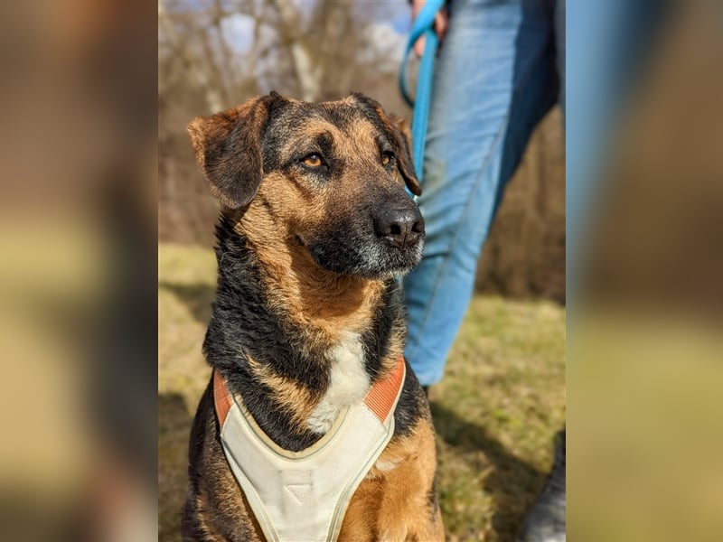 Nicole - auf der Suche nach der zweiten Chance