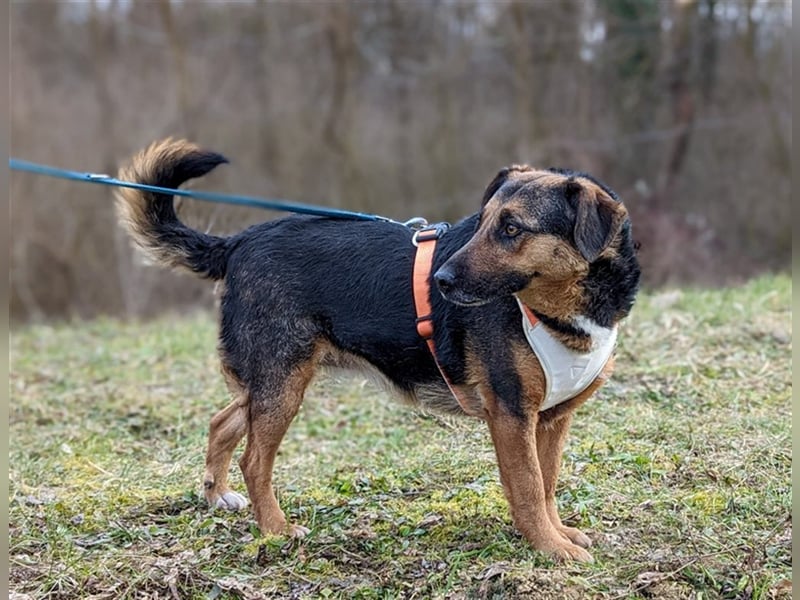 Nicole - auf der Suche nach der zweiten Chance