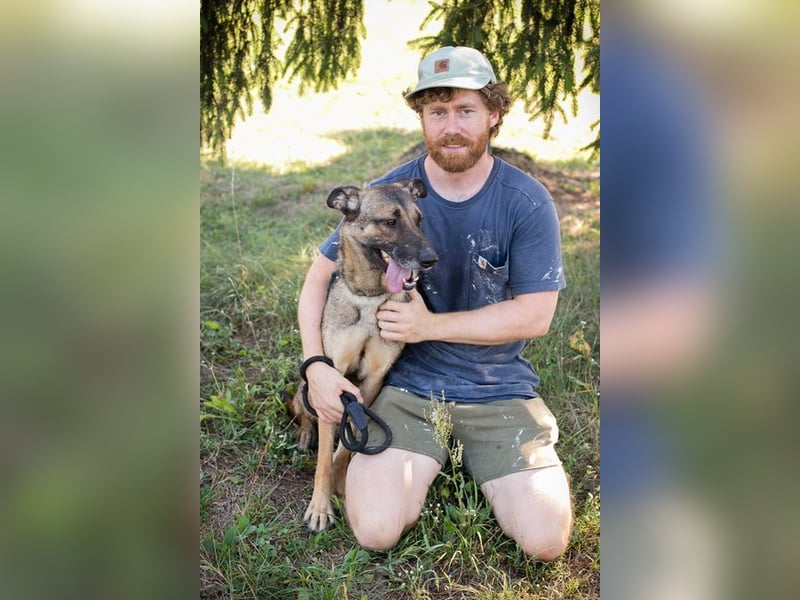 MARLEE - die aktive und verspielte Hündin freut sich auf tolle Abenteuer mit ihrer Familie