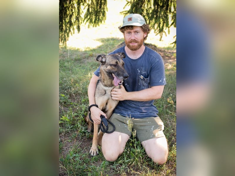 MARLEE - die aktive und verspielte Hündin freut sich auf tolle Abenteuer mit ihrer Familie