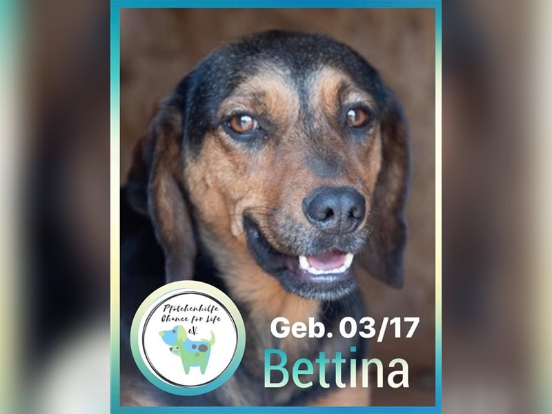 Bettina die Grinsebacke