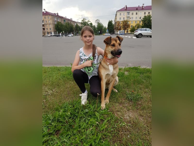 Rexie❤️befindet sich derzeit auf einer Pflegestelle in 49143 Bissendorf