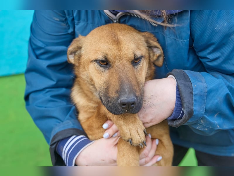 Maxi❤️träumt von ihren Herzensmenschen