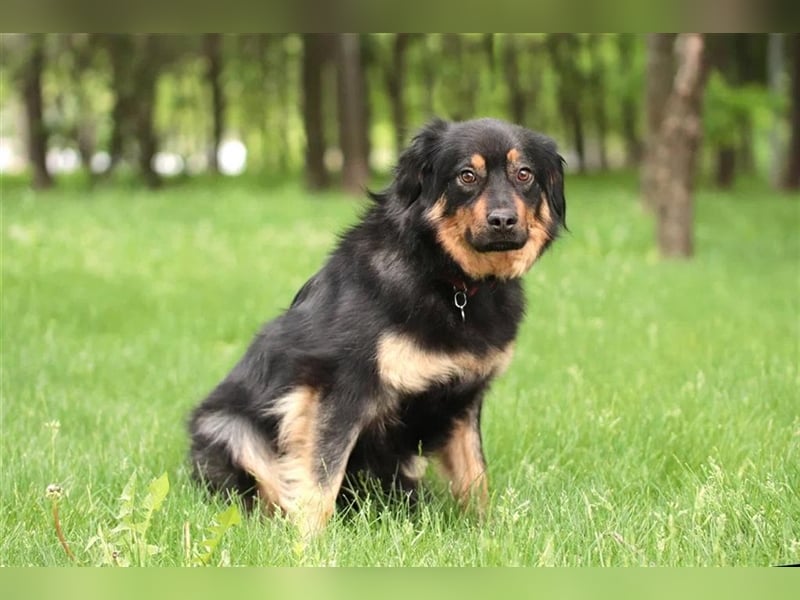 Emma❤️träumt von Ihren Menschen